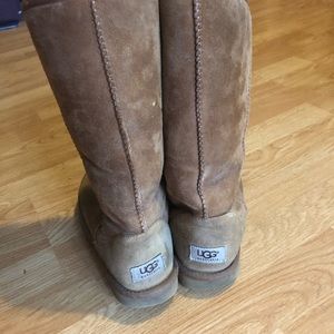 Chestnut tall uggs